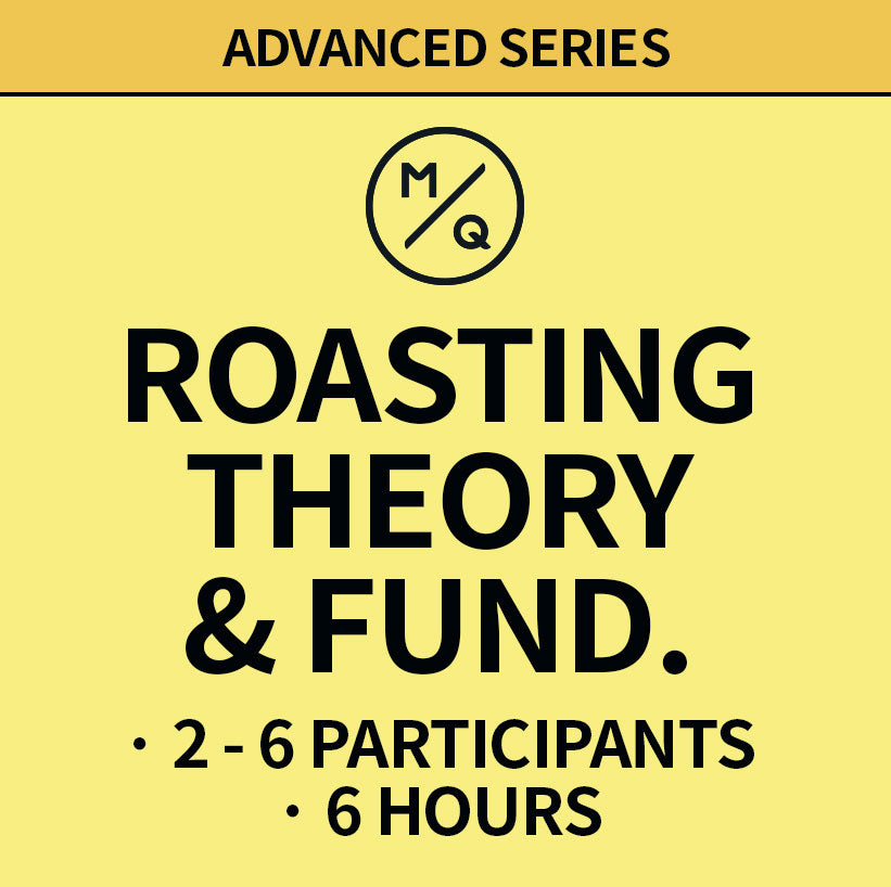 Roasting Theory & Fundamentals - Advanced Level