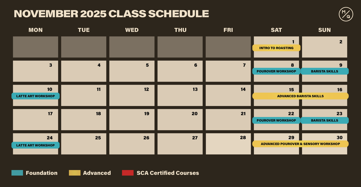 Beginner Classes 2.5hrs